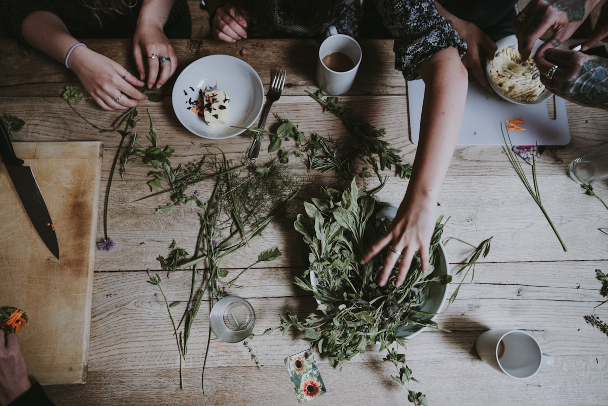 Indigenous plant medicine and forest healing practices